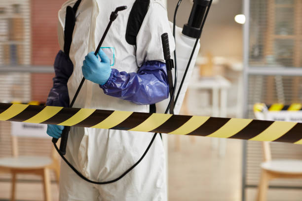 Professional Blood Cleanup technician working in Echo, UT